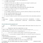 12 Biome Activity Worksheet Worksheeto