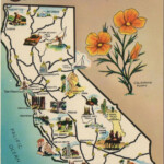 1940 s California Postcard Hagins Collection California Postcard