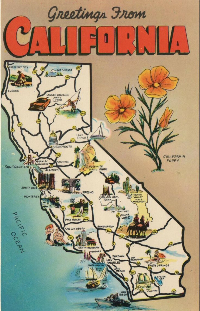 1940 s California Postcard Hagins Collection California Postcard 