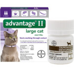 2 MONTH Advantage II Flea Control For Large Cats over 9 Lbs