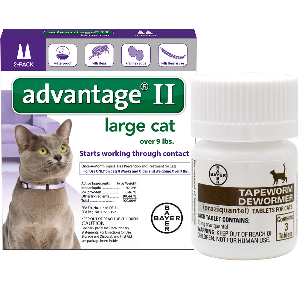 2 MONTH Advantage II Flea Control For Large Cats over 9 Lbs 