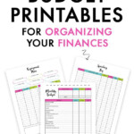 2021 Budget Binder Printables Budget Printables Budget Binder Budgeting