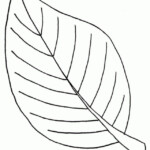 27 Inspiration Picture Of Leaf Coloring Page Entitlementtrap