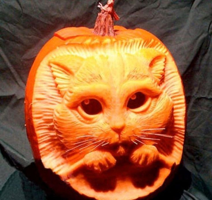 37 Beautiful Pumpkin Carving Ideas You Can Do By Yourself Creative 
