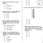 3Rd Grade Reading Staar Test Practice Worksheets For Db excel