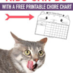 5 Easy Cat Chores For Kids With A FREE Printable Chore Chart Pet Care