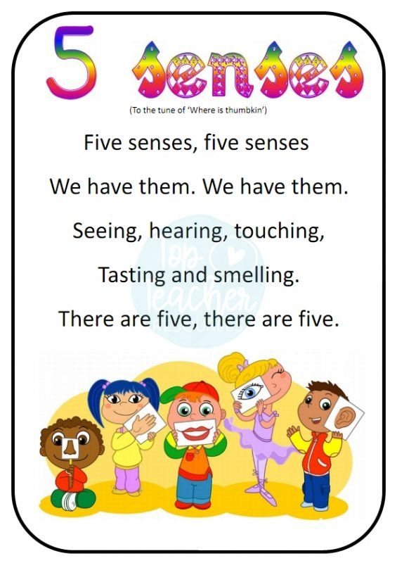 5 Senses Song Top Teacher Innovative And Creative Early Childhood