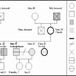 8 Genogram Editable SampleTemplatess SampleTemplatess