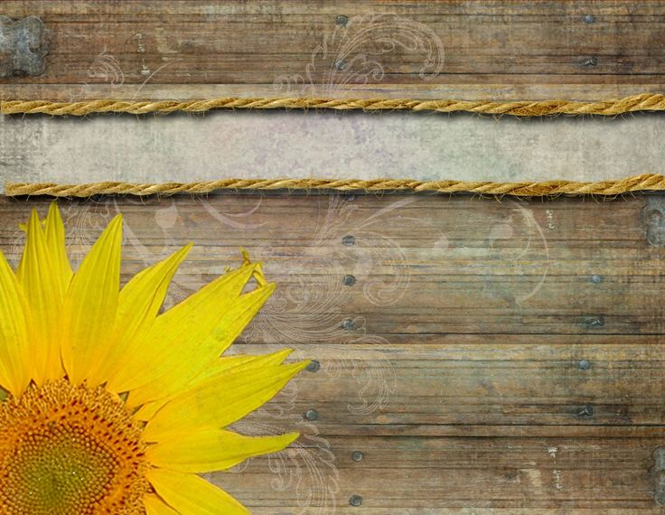 Abstract Yellow Sunflower Background Vector Ilration Template 