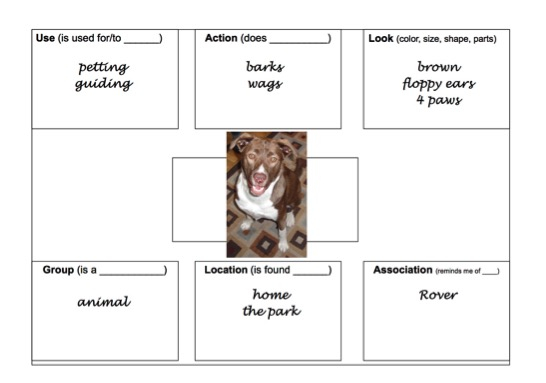 Activities For Aphasia Groups vol 1 Semantic Feature Analysis 