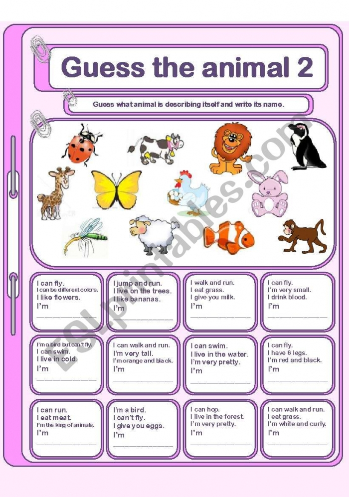 Animal Guess Worksheets 99Worksheets