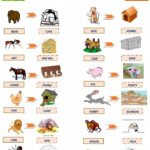 Animals And Their Homes Worksheets 99Worksheets