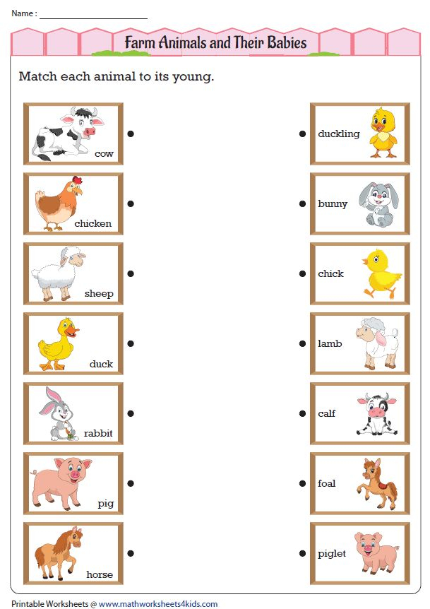 Animals And Their Young Worksheets In 2021 Writing Practice For Kids 