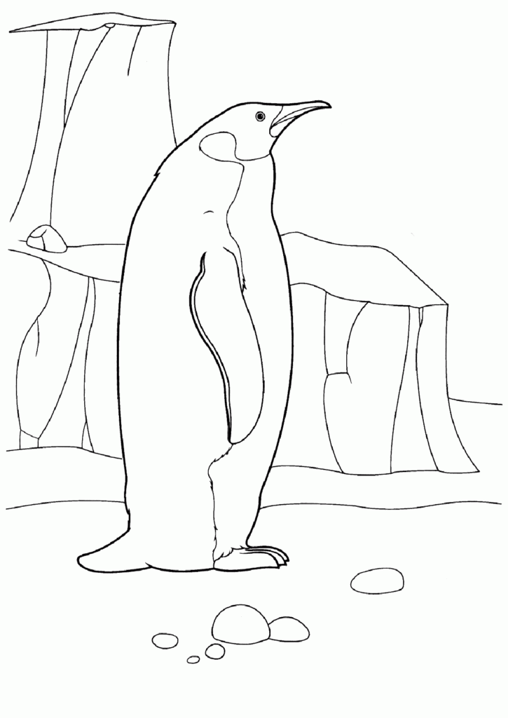 Antarctica Coloring Pages To Download And Print For Free