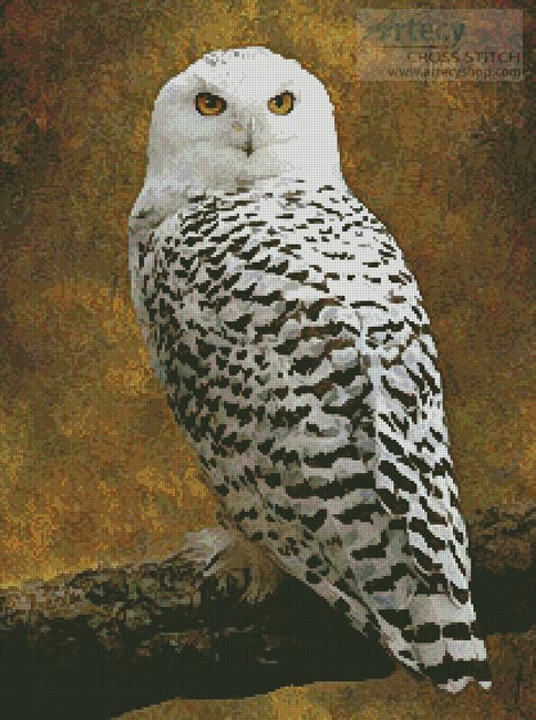 Artecy Cross Stitch Snowy Owl Cross Stitch Pattern To Print Online 