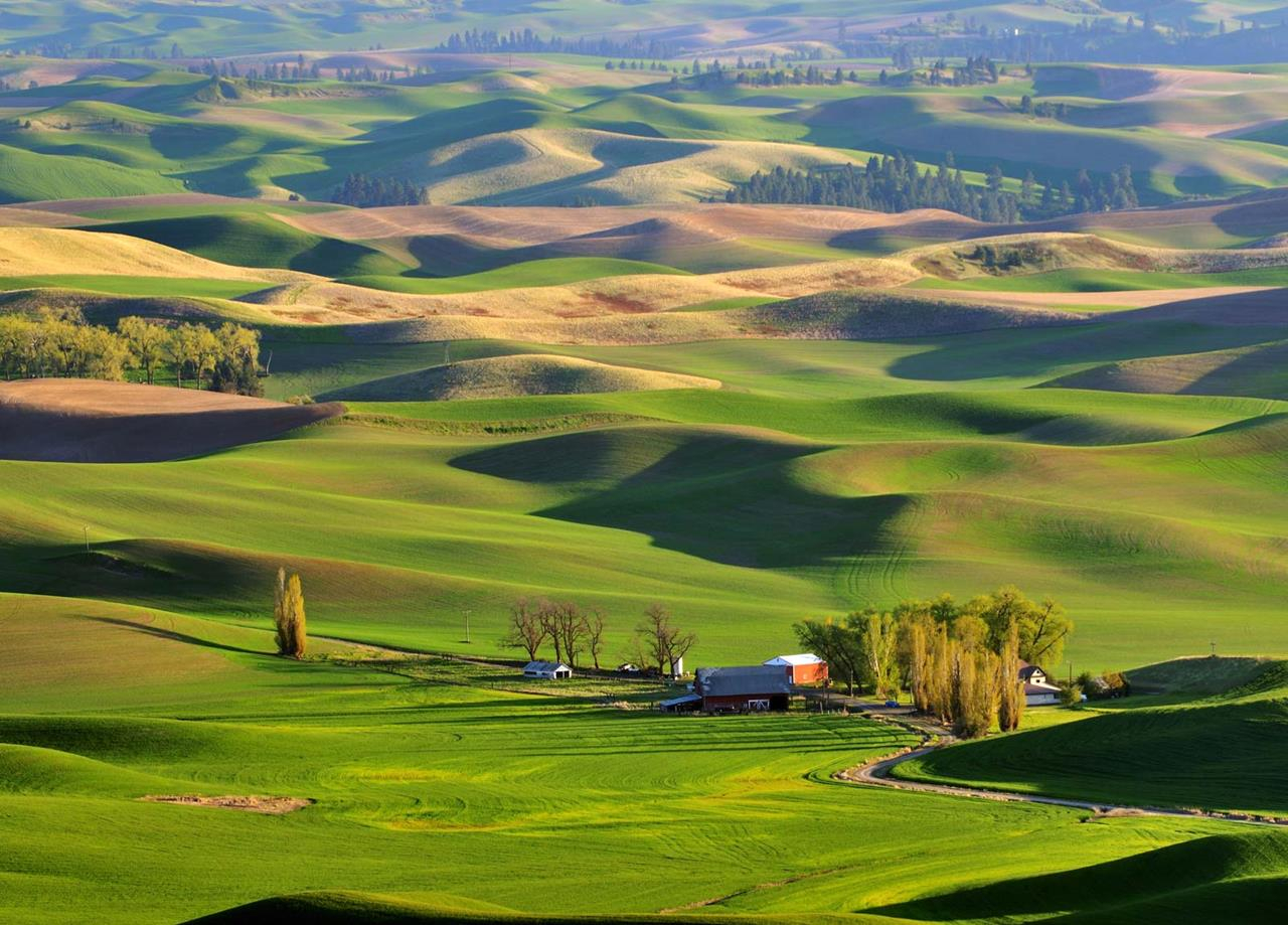 Astonishing Landscapes Of The Palouse Region Washington XciteFun