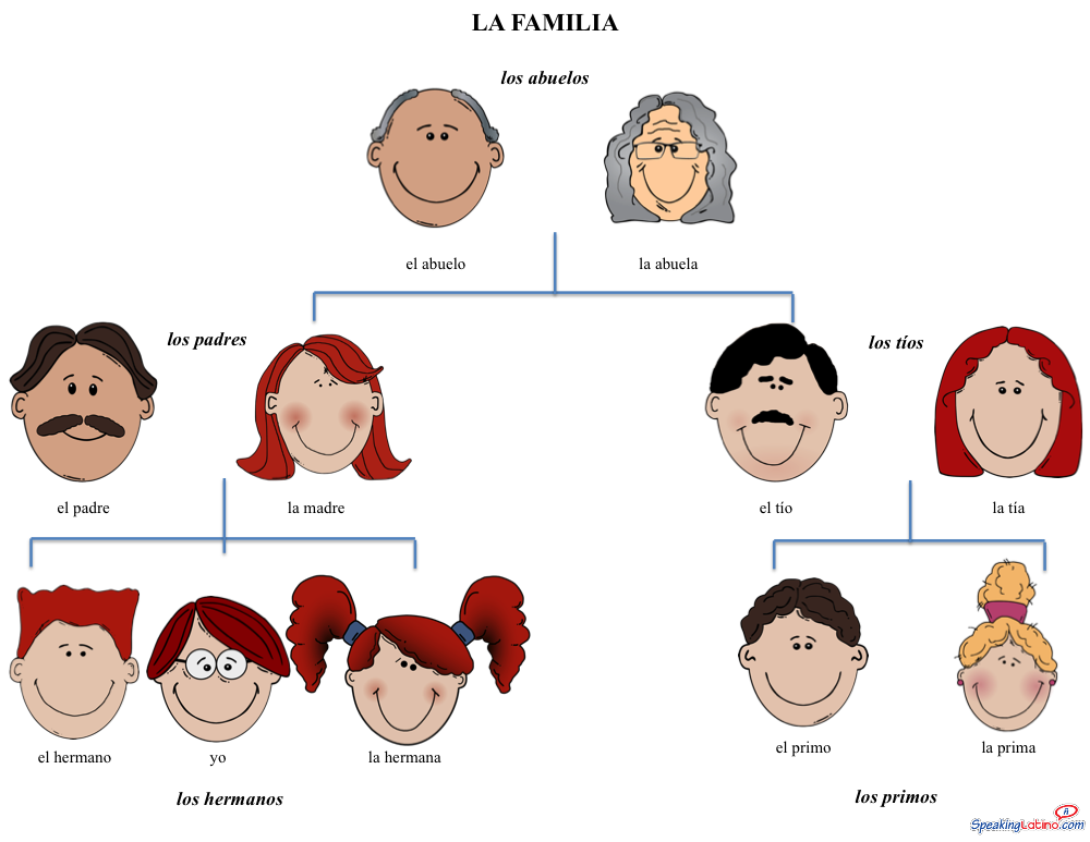 Basic Family Vocabulary In Spanish Free Image Printable