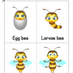 Bee Game Free Printables 123 Kids Fun Apps