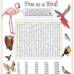 Bird Names Word Search Puzzle Teaching Resources Printable Puzzles