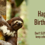 Birthday Ecards From WWF Free Birthday Ecards World Wildlife Fund