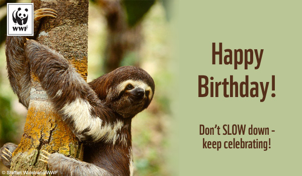 Birthday Ecards From WWF Free Birthday Ecards World Wildlife Fund
