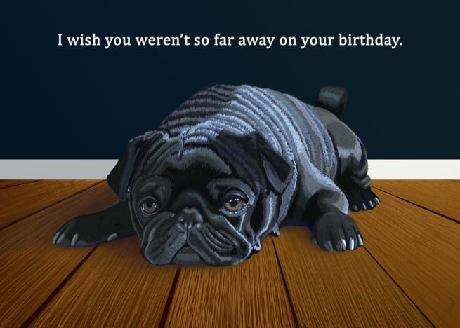 Black Pug Far Away Birthday Wishes Card Ad SPONSORED Pug Black 