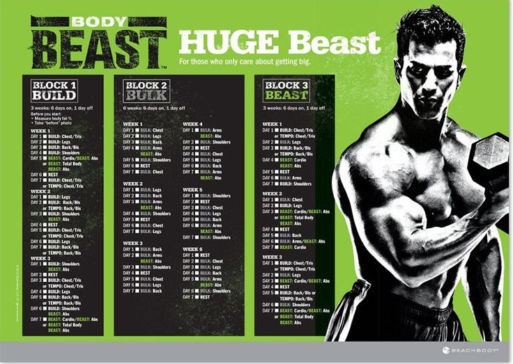 Body Beast Workout Schedule Downloads Get Them Hack The Gym Body 