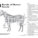 Breeds Of Horses Puzzle OSU Extension Catalog Oregon State University