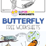 Butterfly Life Cycle Worksheets In 2020 Teaching Life Cycle