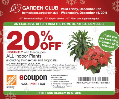 Canadian Daily Deals Home Depot 20 Off Indoor Plants Printable