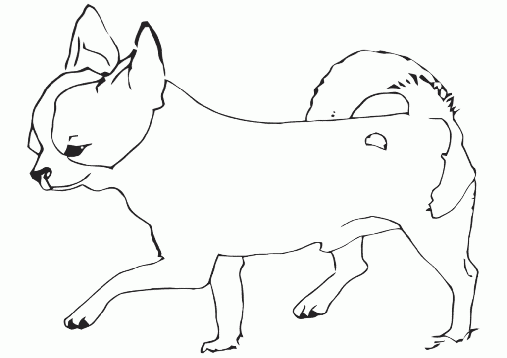 Chihuahua Coloring Pages To Download And Print For Free