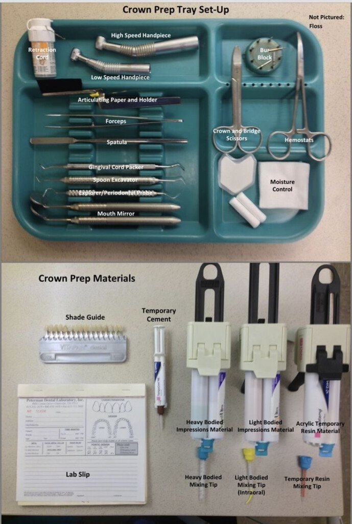 Crown Preparation Dental Hygiene Student Dental Assistant Study 