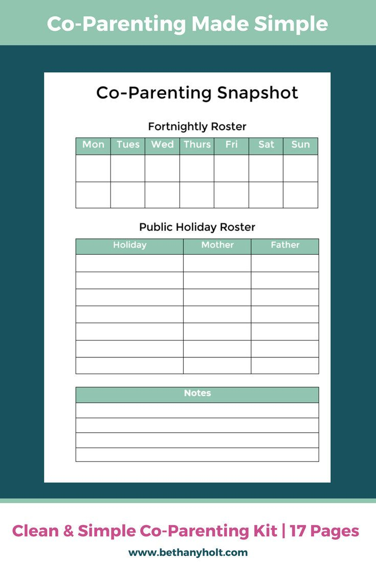 Custody Planner Visitation Planner Divorce Planner Co Parenting