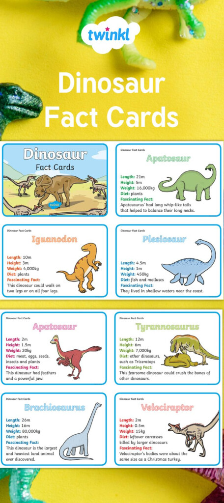 Dinosaur Fact Cards Dinosaur Facts Dinosaur Facts For Kids Fun 