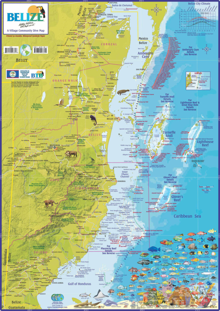 Dive Belize Map And Info On Dive And Snorkeling Sites Off Ambergris 