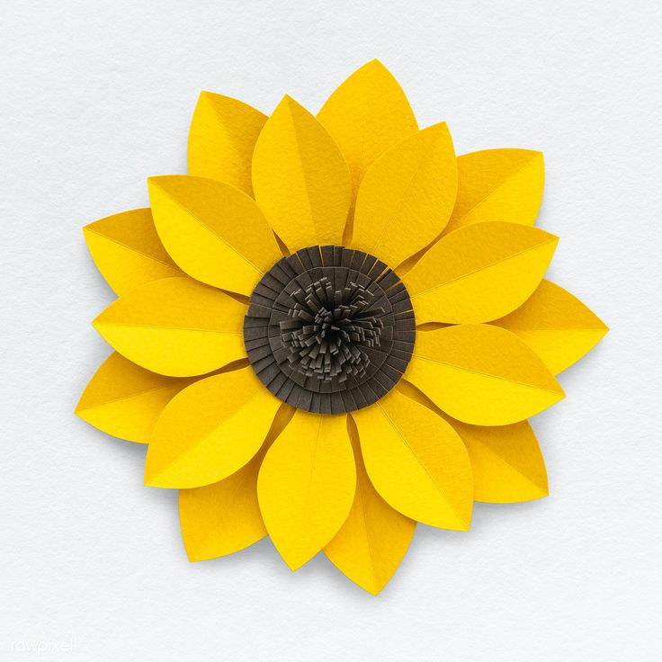 Download Premium Psd Of Sunflower Paper Craft Closeup Isolated 1202465