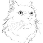 Downloadable Coloring Page Snow White The Cat