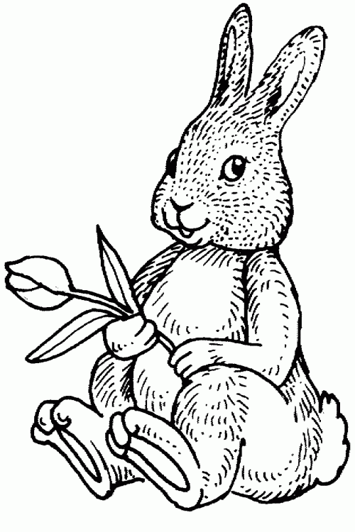 Easter Rabbit Holding Flower Free Printable Coloring Pages