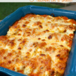 Easy Cheesy Shells Ricotta Stuffed Shells MyLitter One Deal At A Time