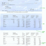 Easy to use Paycheck Application For The First Time Payroll Software Users