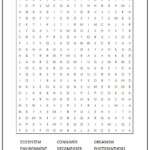 Ecosystem Word Search Word Puzzles For Kids Worksheets For Kids