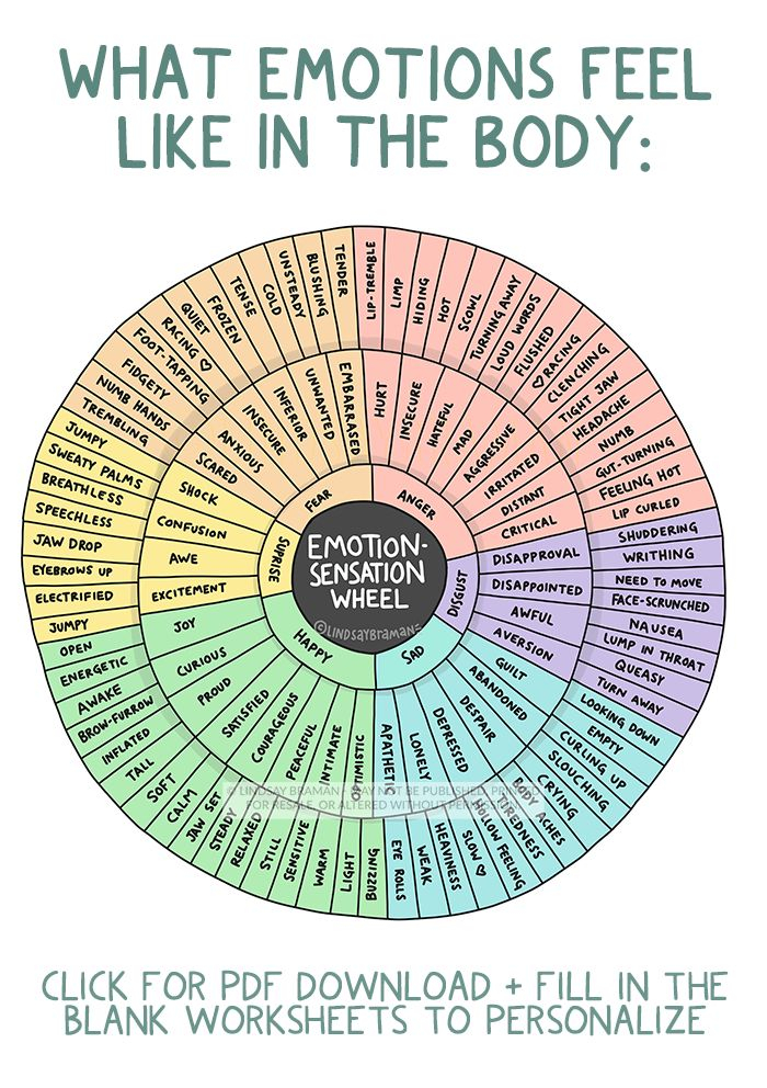 Emotion Sensation Feeling Wheel Printable Feeling Wheel Resources