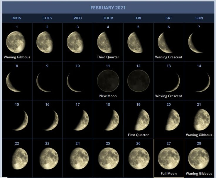 February 2021 Moon Calendar Printable Free Download In 2021 Moon 