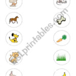 Food Animals Eat Worksheets 99Worksheets