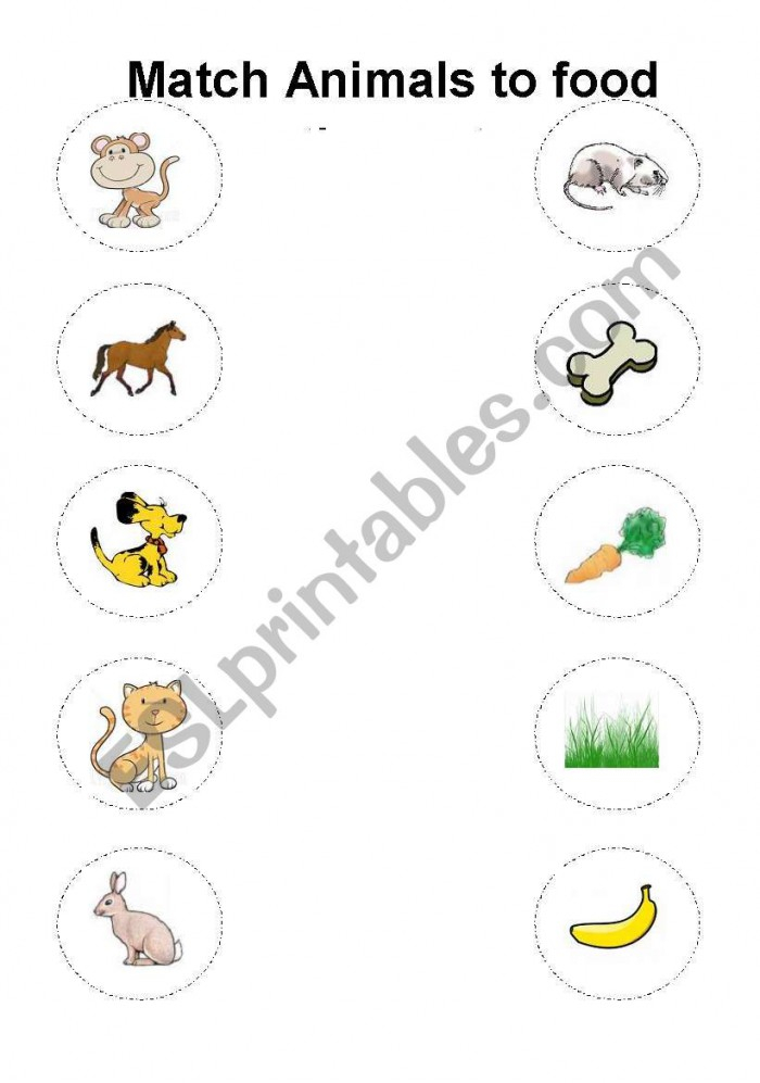 Food Animals Eat Worksheets 99Worksheets - FreePrintable.me