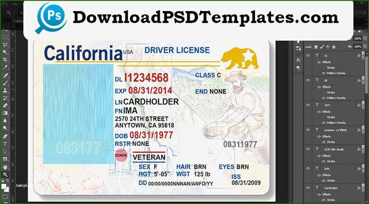 Foolproof California Drivers License Template That Prove Your Strands 