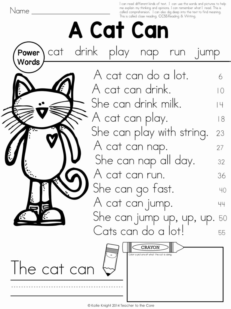 Free 1St Grade Comprehension Worksheets Db excel