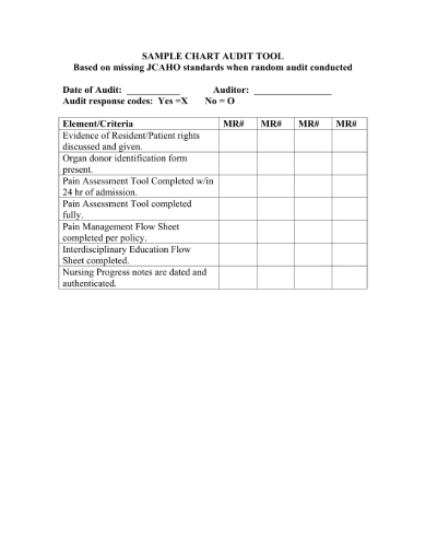 FREE 6 Chart Audit Forms In PDF Excel