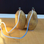 Free Energy Light Bulbs 220v Using Potato YouTube