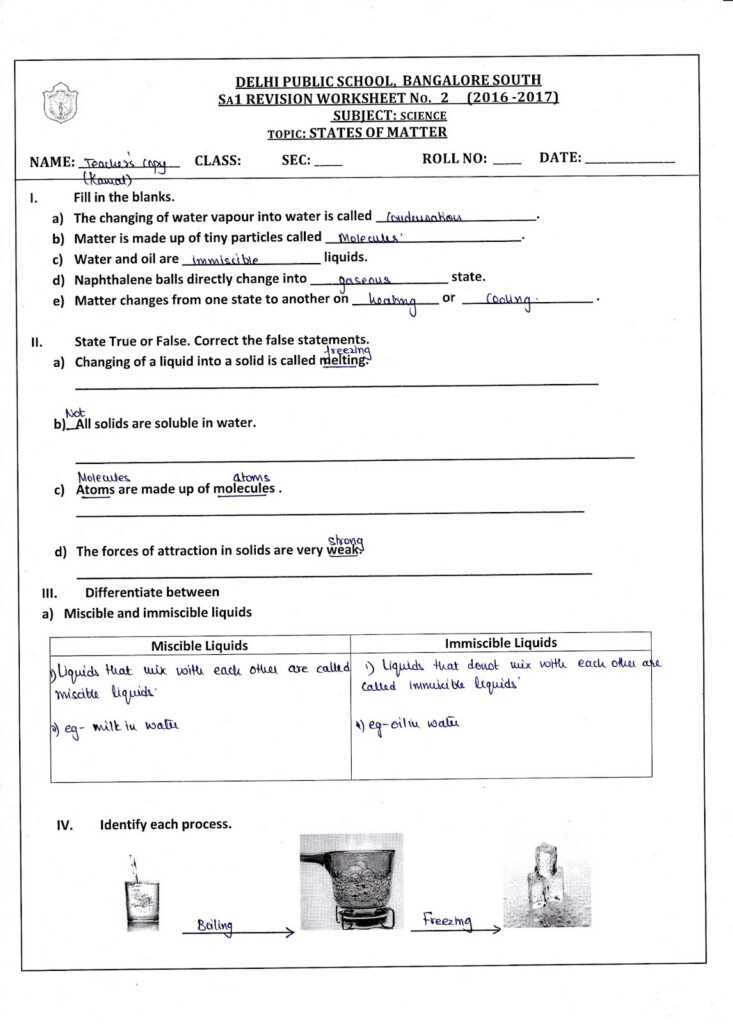 Free Nutrition Worksheets Db excel